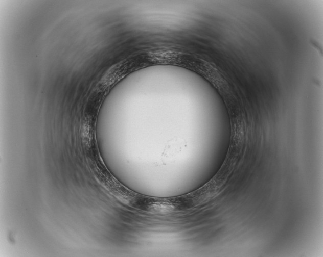 X0000099540749200805301500