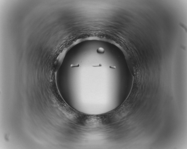 X0000099540750200805301500