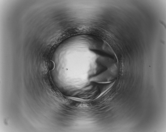 X0000099540751200805301500