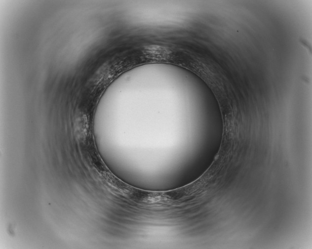 X0000099540752200805301500