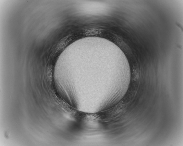 X0000099540753200805301500