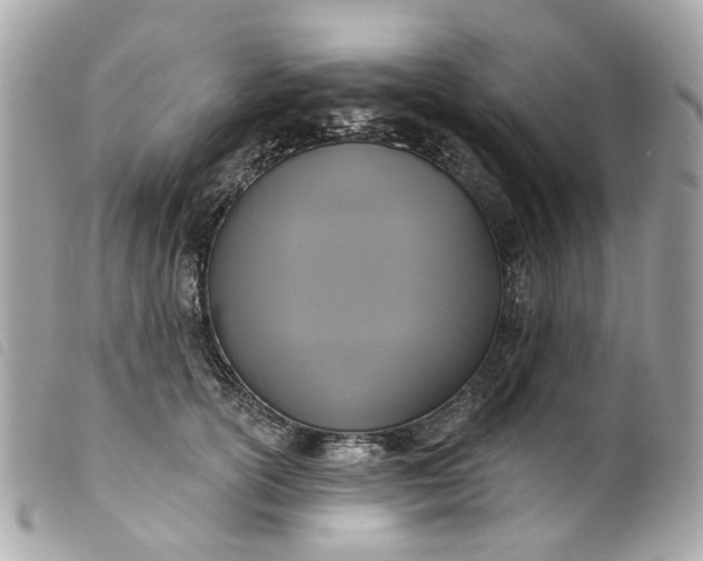 X0000099540754200805301500