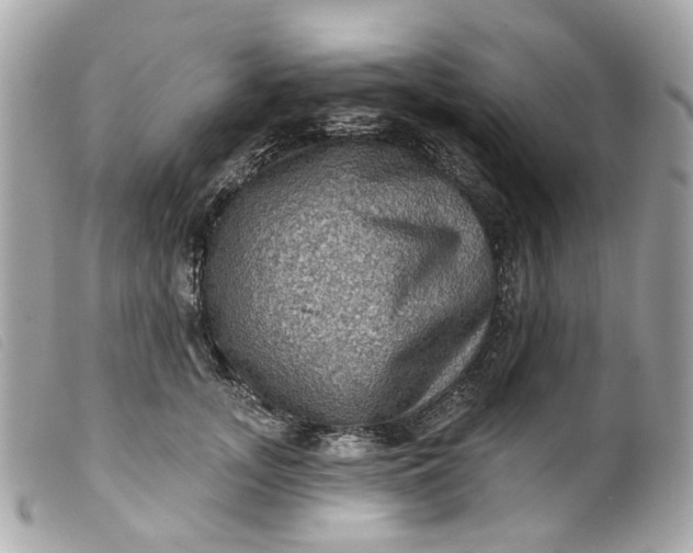 X0000099540755200805301500