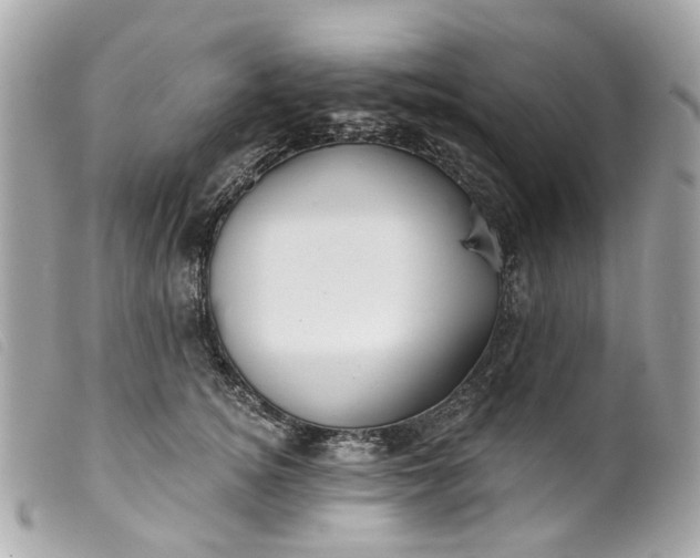 X0000099540756200805301500