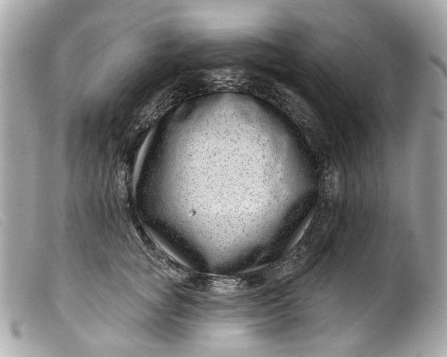 X0000099540757200805301500