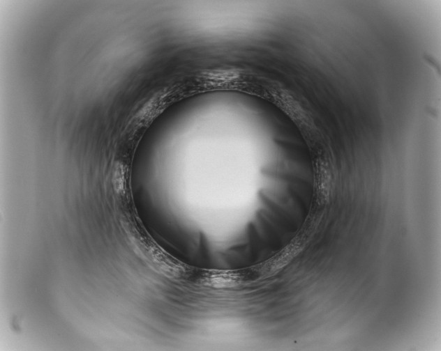 X0000099540758200805301500