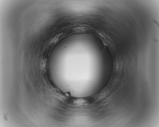 X0000099540759200805301500