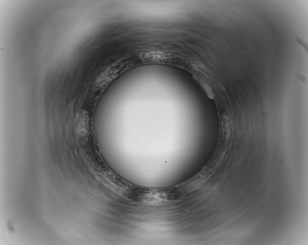 X0000099540760200805301500