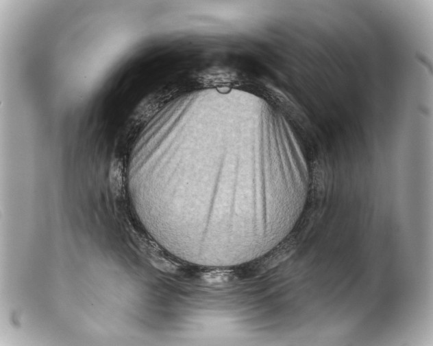 X0000099540761200805301500