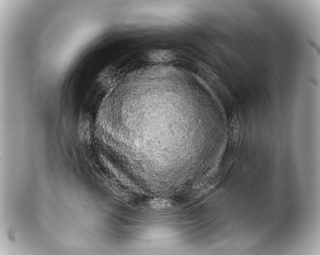 X0000099540762200805301500