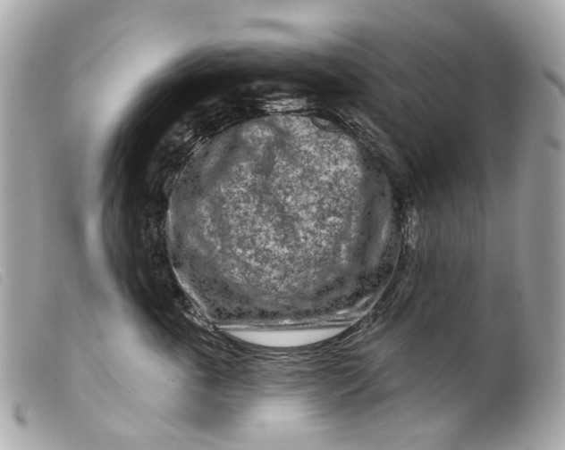 X0000099540763200805301500