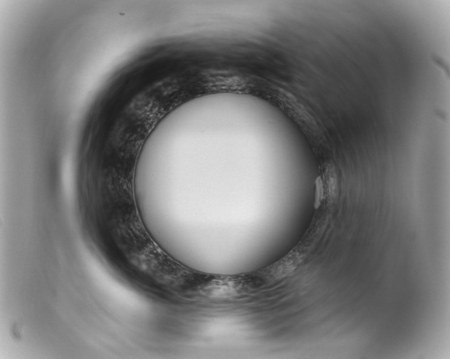 X0000099540764200805301500