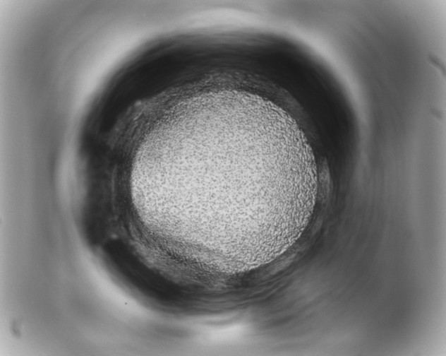 X0000099540765200805301500