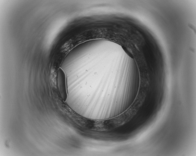 X0000099540766200805301500