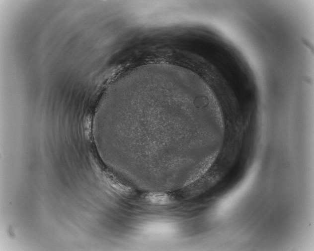 X0000099540767200805301500