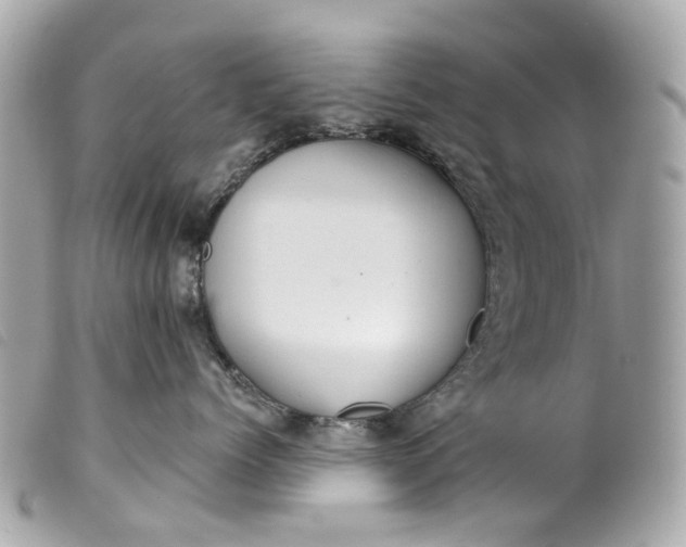 X0000099540768200805301500