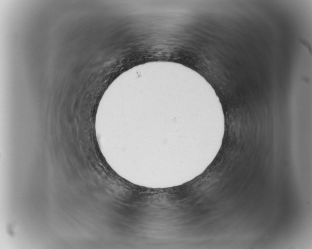 X0000099540769200805301500