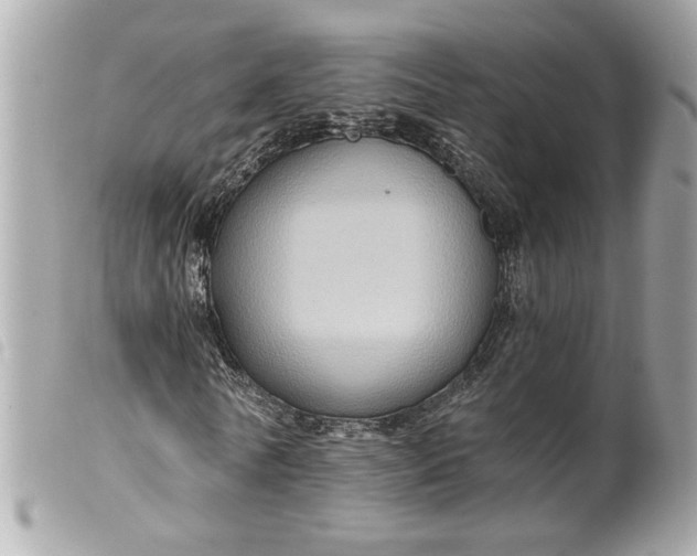 X0000099540770200805301500