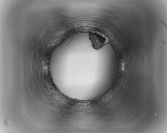 X0000099540771200805301500