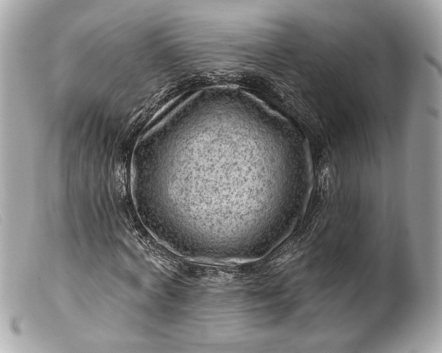 X0000099540772200805301500