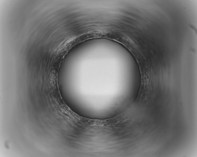 X0000099540773200805301500