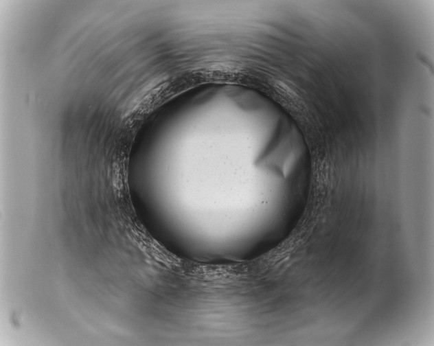 X0000099540774200805301500