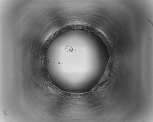 X0000099540775200805301500