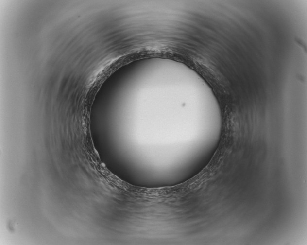 X0000099540776200805301500