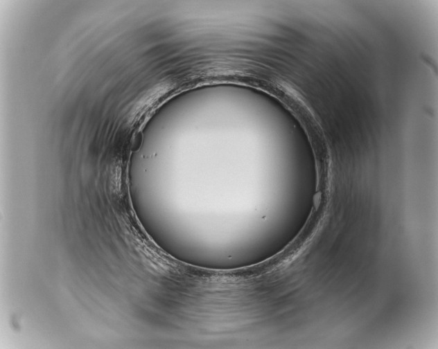 X0000099540777200805301459