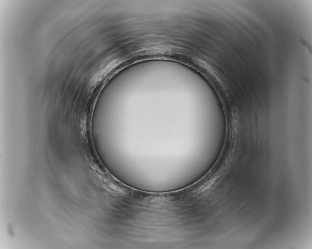 X0000099540778200805301459