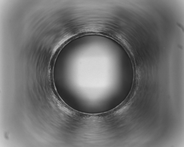 X0000099540779200805301459