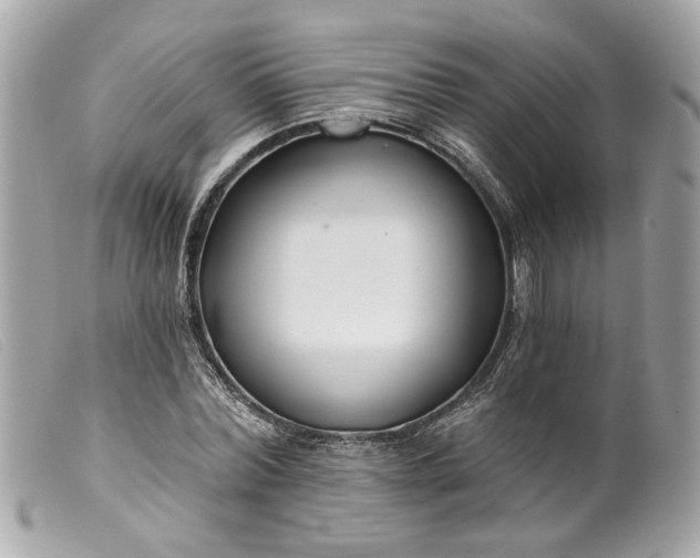 X0000099540780200805301459