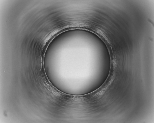 X0000099540781200805301459