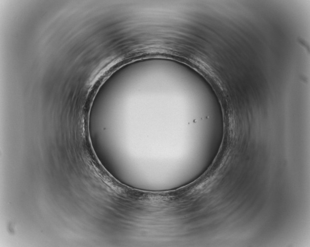 X0000099540782200805301459