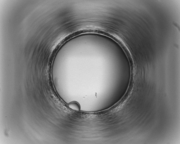 X0000099540783200805301459