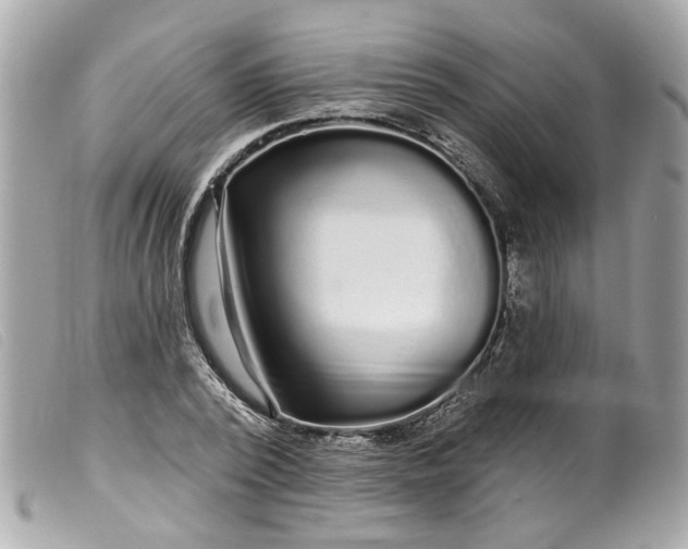 X0000099540784200805301459