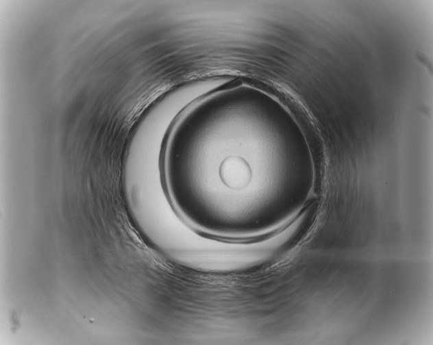 X0000099540785200805301459