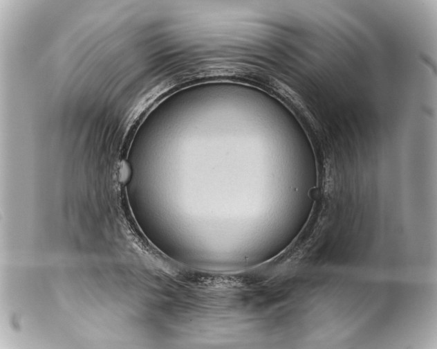 X0000099540786200805301459