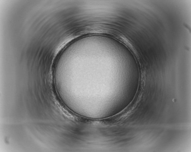 X0000099540787200805301459