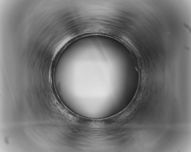 X0000099540788200805301459