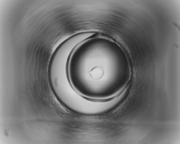 X0000099540789200805301459