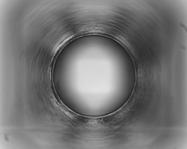 X0000099540790200805301459