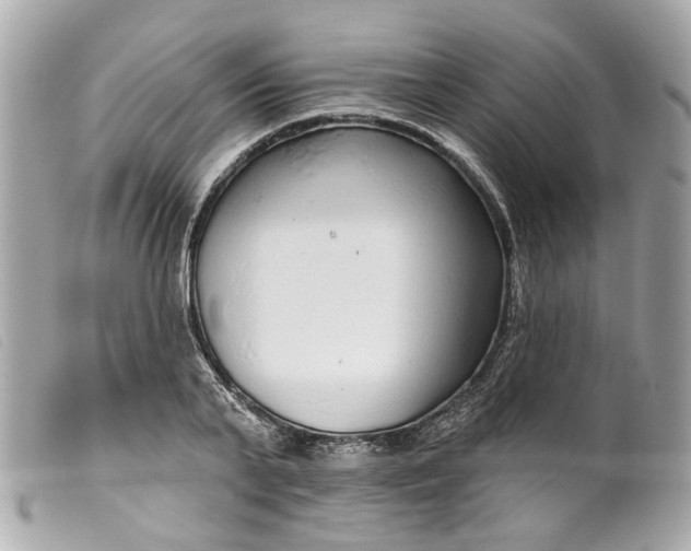 X0000099540791200805301459