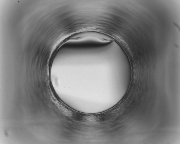 X0000099540792200805301459