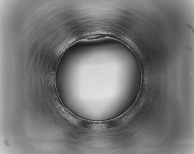 X0000099540793200805301459