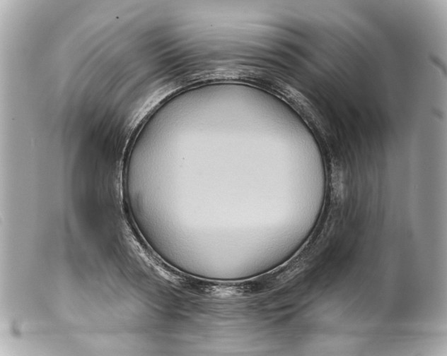 X0000099540794200805301459