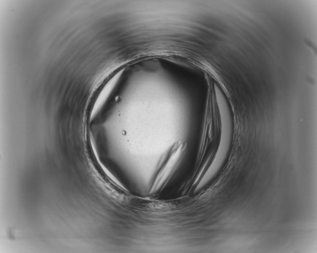 X0000099540795200805301459