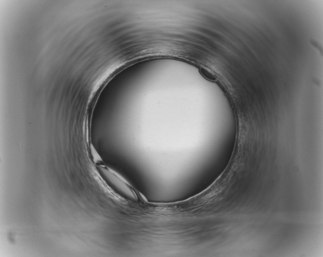 X0000099540796200805301459