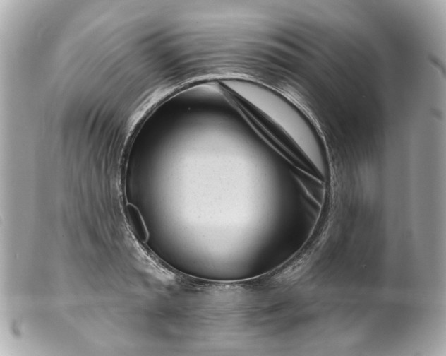 X0000099540797200805301459