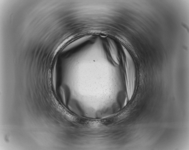 X0000099540798200805301459